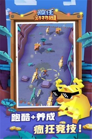 疯狂动物园最新安卓版下载