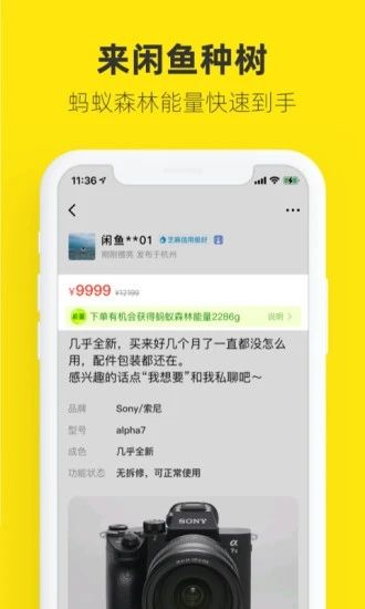 闲鱼去广告精简版