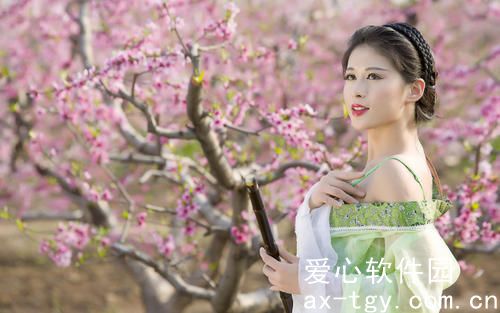 天天奭5g多人运站长工具