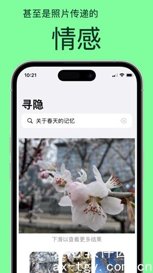 寻隐