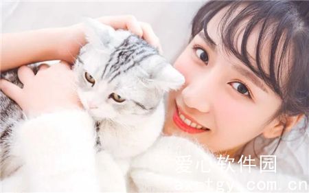 仙踪林19岁婚纱摄影视频很丰富？网友：覆盖所有类型！
