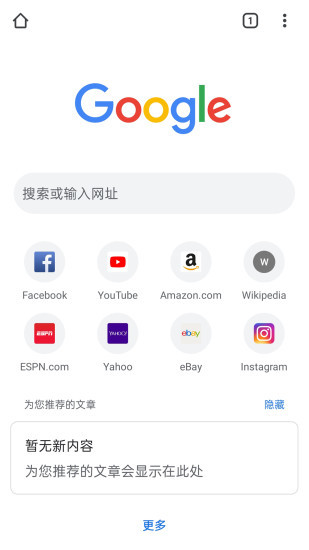 谷歌浏览器Google Chrome