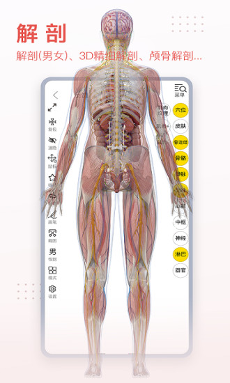 3DBody破解版最新破解版