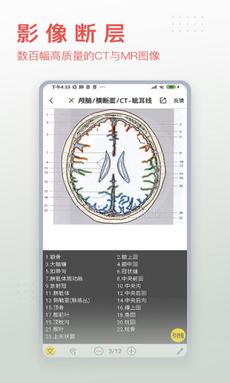 3DBody破解版最新下载