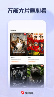西瓜视频无广告低内存最新版免费版本