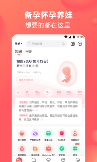 宝宝树孕育正式版免费下载最新版