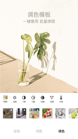 foodie相机下载免费版本