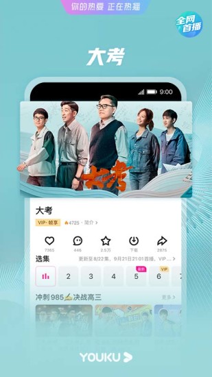 优酷视频无广告清洁版下载
